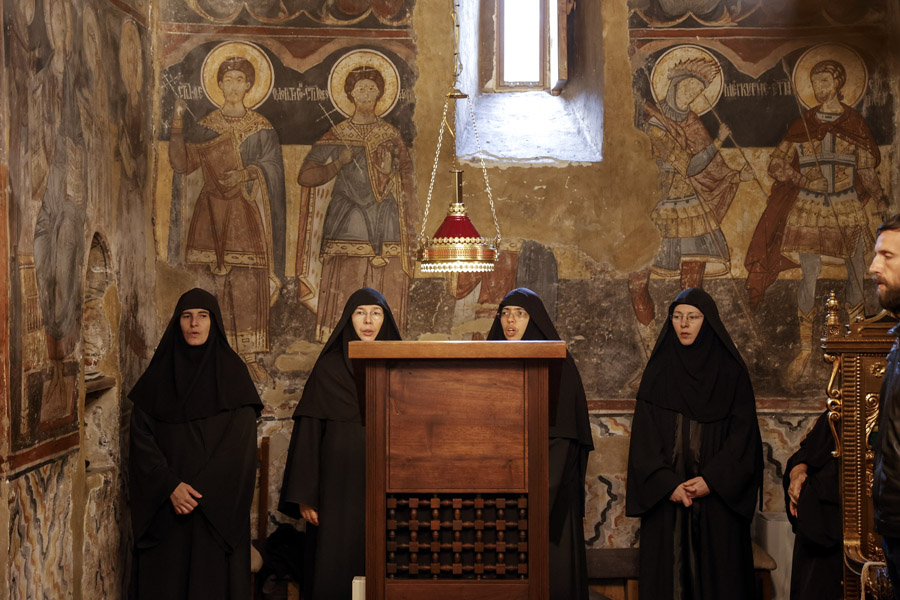 Dani Patrijarha Pavla